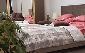 Apartament Ultra-Central Lux -,, Andrecasu ,,
